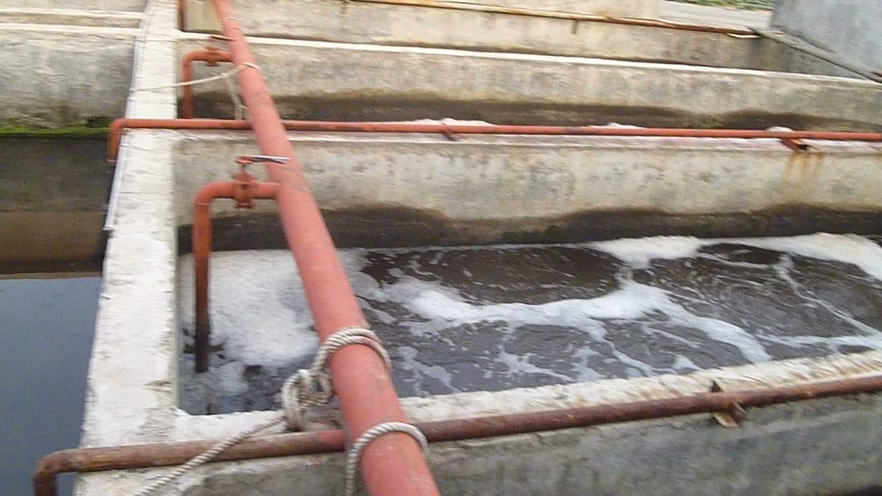 animal slaughter waste water treatment