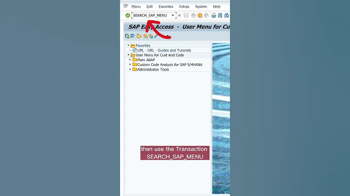 Powerful Search Option in SAP GUI - Transaktion #sap #search #tips