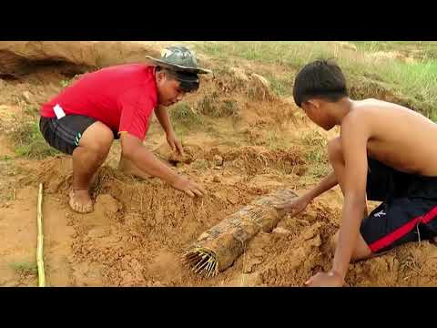 Primitive Technology Deep Hole Underground Python Snake Trap Using Wooden Snare That Work 100%
