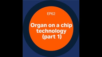 Discovery Matters | Ep62. Organ on a chip: Part 1