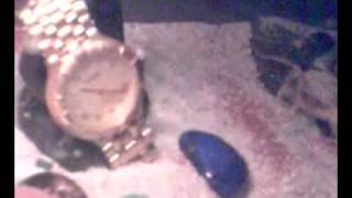 Gelbewalzenpinne Galeodes-Granti Familie Der Solifugen.3Gp