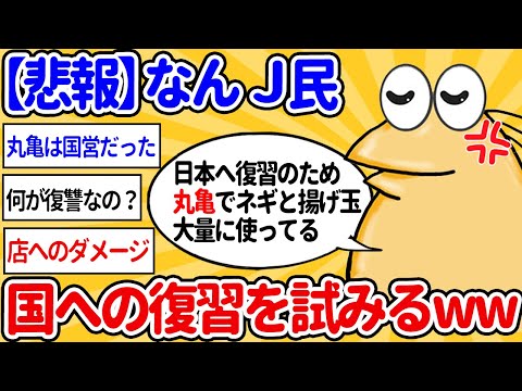 【2ch面白いスレ】【悲報】なんｊ民、国への復習を試みる【ゆっくり解説】