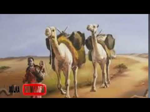 Halxiraale Q 1aad Axmed Faarax Cali Idaaja XULKAXIKMADAHA