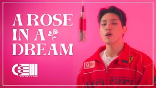 BIGMAN - 'A rose in a dream'  Live Clip