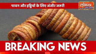🔥 सर्दियों में हर रोज़ अंजीर खाएं, सेहत और ताकत दोनों पाएं