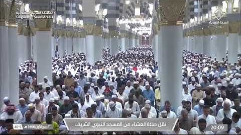 ۞ ماتيسر من سورة النحل | عشاء السبت 11 ربيع الأول 1446هـ لــ الشيخ عبدالمحسن القاسم