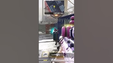 XPR 50 Dolphins wink game play #callofdutymobile