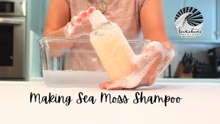 How To Make Sea Moss Shampoo