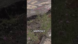 Centralias Inferno Ghost Town Chronicles