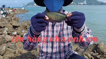 Trở lại Hải Đăng Đèn Xanh sau hơn 4 tháng nghĩ dịch