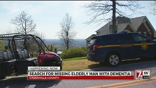 Overnight search continues for Greenville Co man