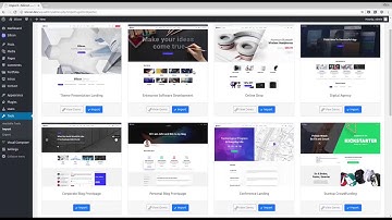 New One-Click Demo Importer (Silicon WordPress Theme)
