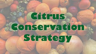 Citrus Conservation Strategy
A Global Strategy for the Conservation and Use of Citrus Genetic Resources provides the framework for the efficient and effective global conservation of citrus. It provides the first comprehensive report summarizing the availability of citrus genetic resources in genebanks around the world, as well as priority actions for citrus genebank collections. The Global Strategy was authored by Drs. Gayle Volk, Frederick Gmitter, and Robert Krueger, with support from Crop Trust, International Treaty on Plant Genetic Resources for Food and Agriculture, and Federal Ministry of Food and Agriculture.
Learn more about the Global Strategy here: https://www.croptrust.org/what-we-do/projects/breathing-new-life-into-global-crop-conservation-strategies/citrus/
Funding for this video was provided by USDA-Agricultural Research Service, with additional support from Colorado State University. USDA is an equal opportunity provider, employer, and lender. Citrus Conservation Strategy