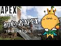 【APEX】ダイヤ行きタイマン
