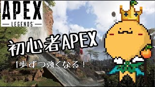 【APEX】ダイヤ行きタイマン