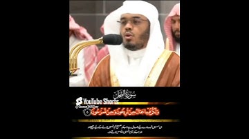 خَلَقَ الْإِنسَانَ مِن نُّطْفَةٍ فَإِذَا هُوَ خَصِيمٌ مُّبِينٌ #یاسر_الدوسري #تلاوة_هادئة