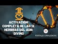 🌀(Activación de las 12 hebras del ADN Divino)🧬