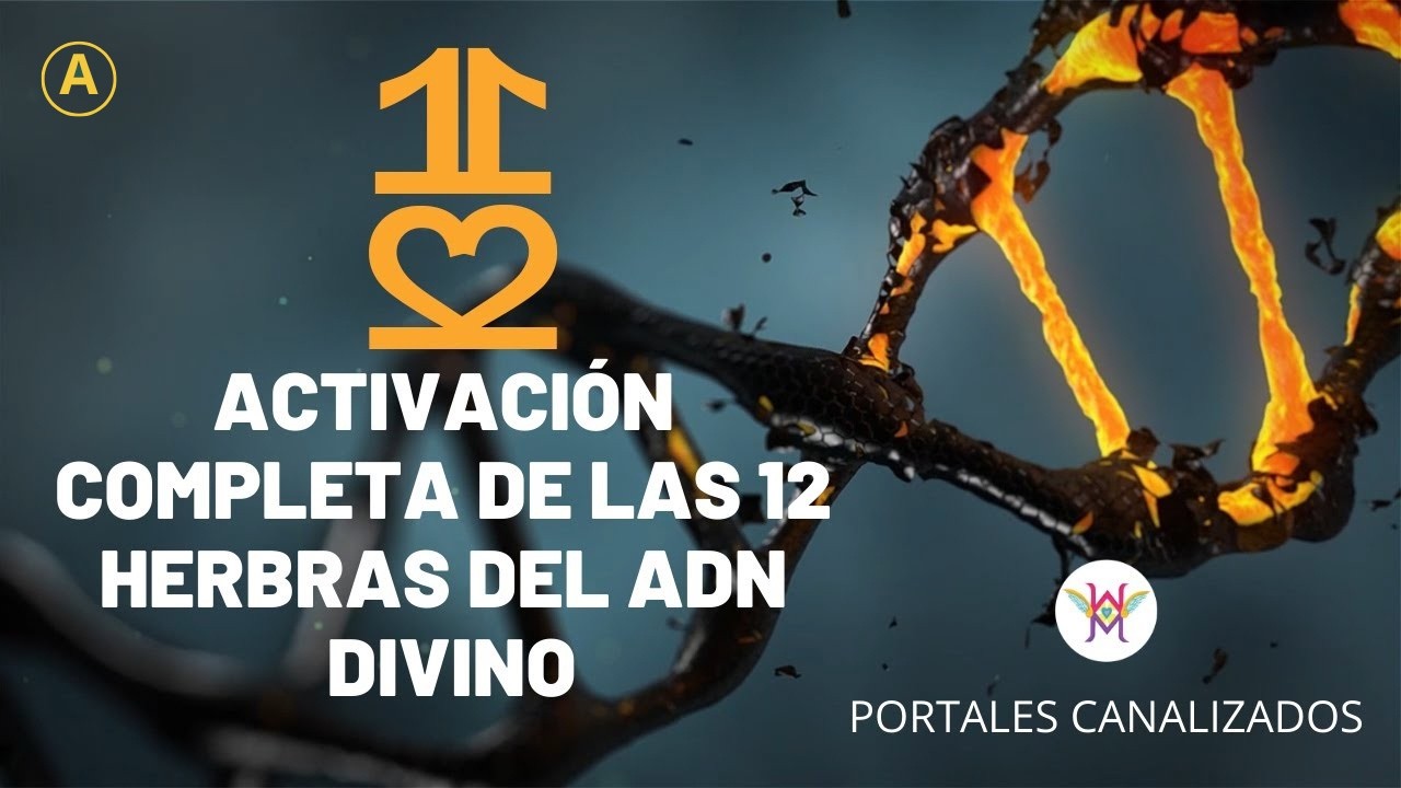 🧬 ACTIVACIÓN COMPLETA DE LAS 12 HEBRAS DEL ADN MULTIDIMENSIONAL ...