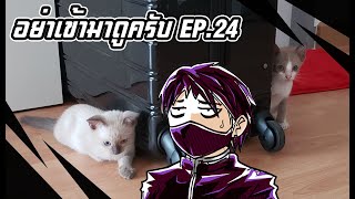 เริ่มเลี้ยงแมววันแรก - อย่าเข้ามาดูครับ EP.24