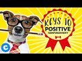 How to Train Your Dog Using Positive Reinforcement | Chewy How to Train Your Dog Using Positive Reinforcement | Chewy