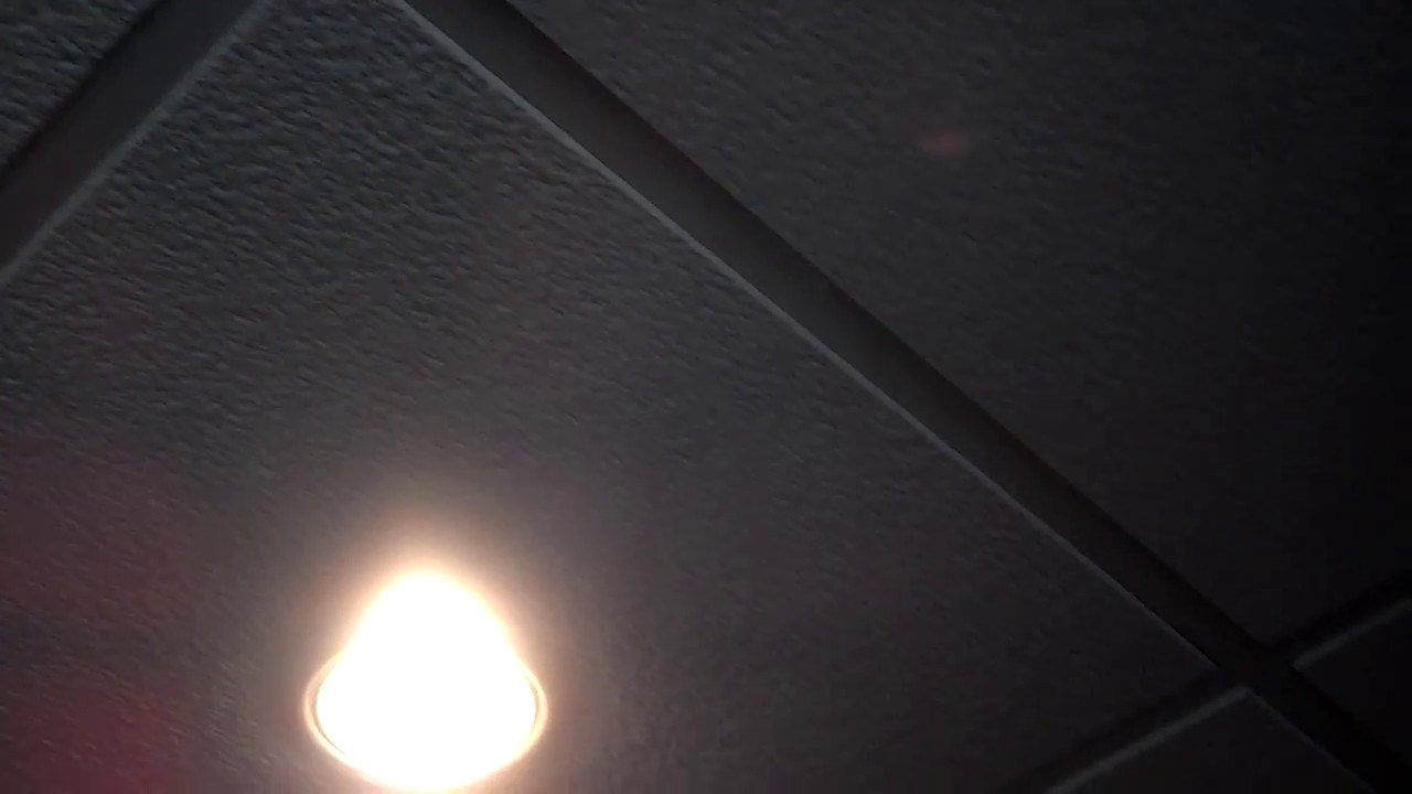Buzzing Sound In The Ceiling You Buzzing Sound In The Ceiling