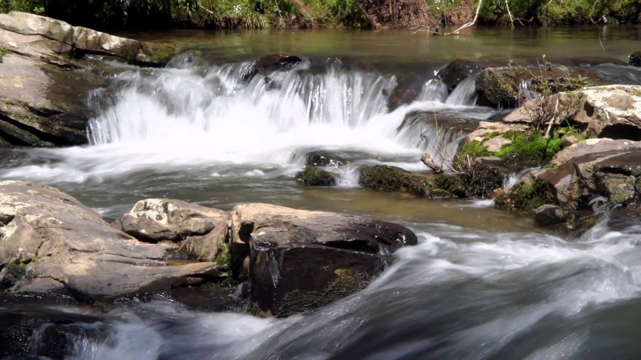 Highway 53 Trout Stream, Amicalola River, North Mountains YouTube
