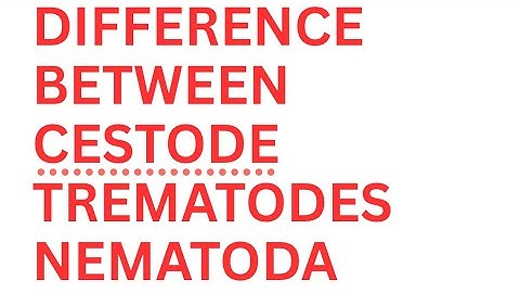DIFFERENCE BETWEEN CESTODE TREMATODES & NEMATODA IN EASY