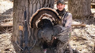 MEGA Flock! EPIC Crossbow Hunt For Early Season Turkeys