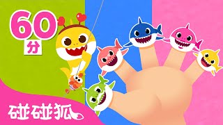 鯊魚一家 人氣兒歌精選合集  Baby Shark doo doo更多 鯊魚寶寶 經典兒歌 連續播放 | 臺灣配音 中文兒歌 | 碰碰狐 Pinkfong!