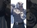 furry100