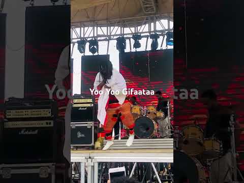 Yana G Hitse Hoollee Ethiopian Wolaita Gifaataa Concert 2025