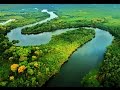 Características de los Peces del Rio Amazonas - TvAgro por Juan Gonzalo Angel