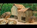 Rescue Quail Bird And Build Beautiful Mini Bamboo House In Forest