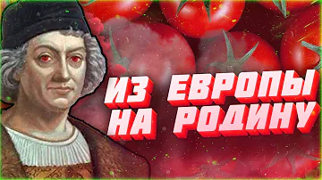 КАК ПОЯВИЛИСЬ ПОМИДОРЫ