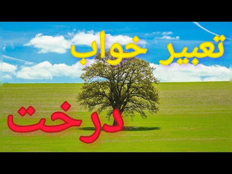 درخت در خواب پیام های پنهانی از دنیای دیگر تعبیر از ابن سیرین و امام صادق