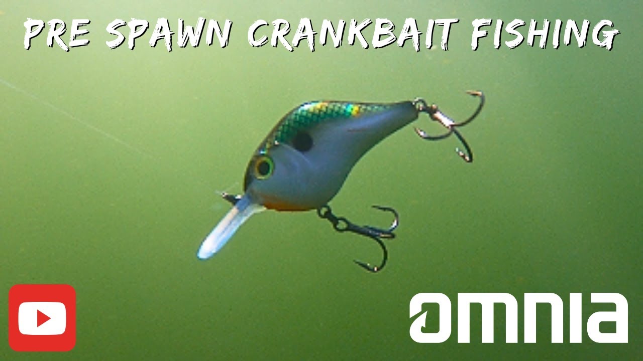 Crankbait Bass Fishing . Targeting Pre spawn transition areas.