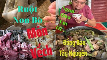 Vếch Bò - Món Ăn Độc Lạ Của Dân Tộc Ê Đê I Ẩm Thực Nhà Nấu
