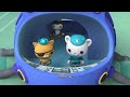 Octonauts Above And Beyond Season 5 Snake Infasted Sea Foam English Full Episode 