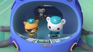 Octonauts Above And Beyond Season 5 Snake Infasted Sea Foam English Full Episode