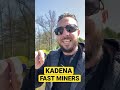 Top Kadena Miners to Buy in 2022 ⚡