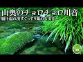 【日本の川音】目を閉じたくなる綺麗な川の音を聴きながらたっぷり眠る自然環境音