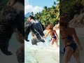 Gorilla monkey loves a girl#romantic #romance #hot #hotdance