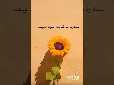 وقف الشاشه وشوف الجمله اللي بتطلع لك واعتبرها رساله لك