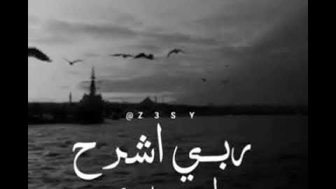 ( قال رب اشرح لي صدري ۝ويسر لي امري )سورة طه _ادريس ابكر (حالات واتساب)