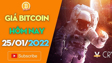 Giá Bitcoin ngày 25/1: Tạm dừng lấy đà, bốc hơi hàng trăm tỷ USD