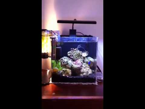aqueon evolve 4 youtube