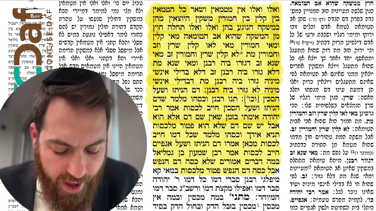 Chullin: Daf Yomi Clear & Concise דף יומי מס׳ חולין