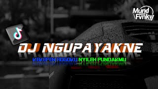 DJ KEKEPEN ROGOKU NYILEH PUNDAKMU || MENGKANE VIRAL TIKTOK TERBARU 2025 || FREE FLM