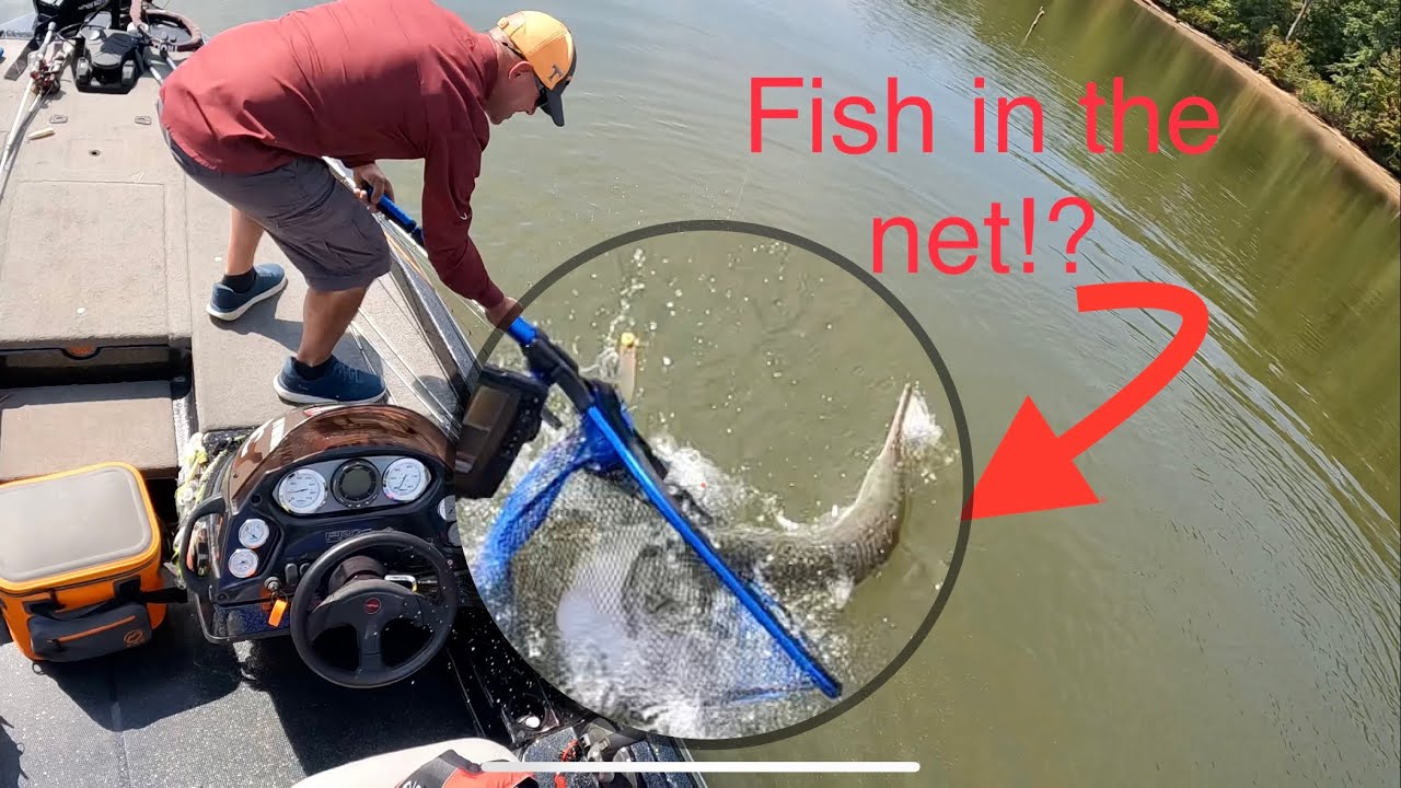 Bass fishing, Gar catching?