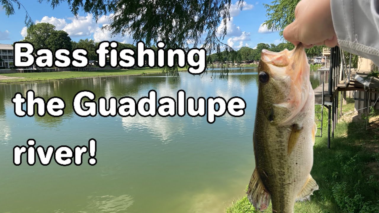 Bass fishing the Guadalupe river!! (BIG BASS!!)